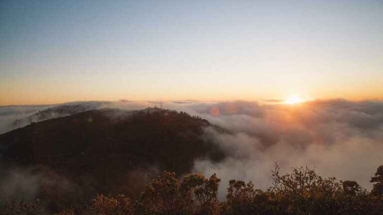 How To Log In To Cricbet99 Vip Win Site?